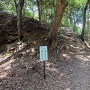 主郭と北側石垣への分岐
