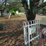 陣屋公園②