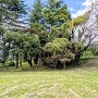 大将山と石碑