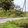 坂尾の土塁(虎口内側から撮影)