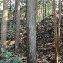 堀跡