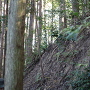 主郭の切岸