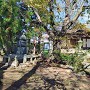信玄公の遺骨出土の地