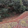 第２郭土塁と空堀