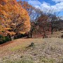 伝天守台跡から眺める主郭