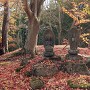 三郭の三つ顔さん