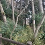 案内板