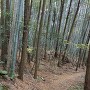 武者溜まり
