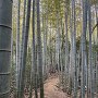 土橋