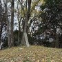 主郭の城趾碑