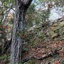 惣門丸東の石垣其の壱