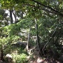 瓦ケ浜御殿趾の庭園と池