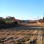 現在の本郷城跡