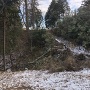 本丸尾根西側　(二の丸から)