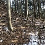 腰郭