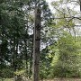 主郭に建つ標柱