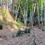 主郭の切岸と堀