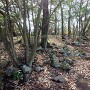 本丸北側の眺め其の壱