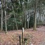 馬場跡