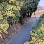 観音堂南側の堀跡を利用した道