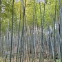 下切城、主要部の切岸と下段の郭