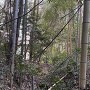 横堀