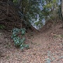 焔硝蔵跡より見た堀切