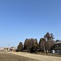 城趾の水田