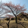 寺崎城石碑の建つ高台