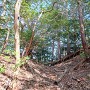見上げる西側一本目の堀切其の弐