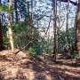 見下ろす西側二本目の堀切其の壱