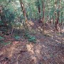 主郭下段の曲輪から見下ろす北東の竪堀