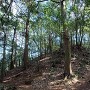 北西から眺める主郭