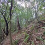主郭北側の切岸