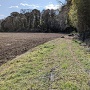 城址入口に通じる道
