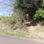 登城口