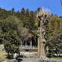 城趾遠景
