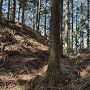 主郭北側の堀切