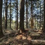 主郭と城趾碑
