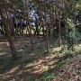 本丸下段の郭