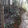 切岸