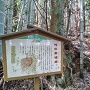 登り口にある説明板