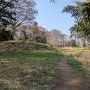 根古屋虎口