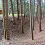 Ⅱ郭の空堀