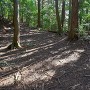 土塁（西帯曲輪）
