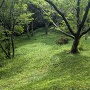 阿波崎城址風景