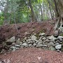 長大な竪堀の始点付近の石垣