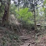 主郭（本殿）直下の長い石段