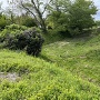 二の丸東側空堀