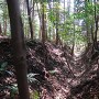柏原城 主郭東の二重空堀②